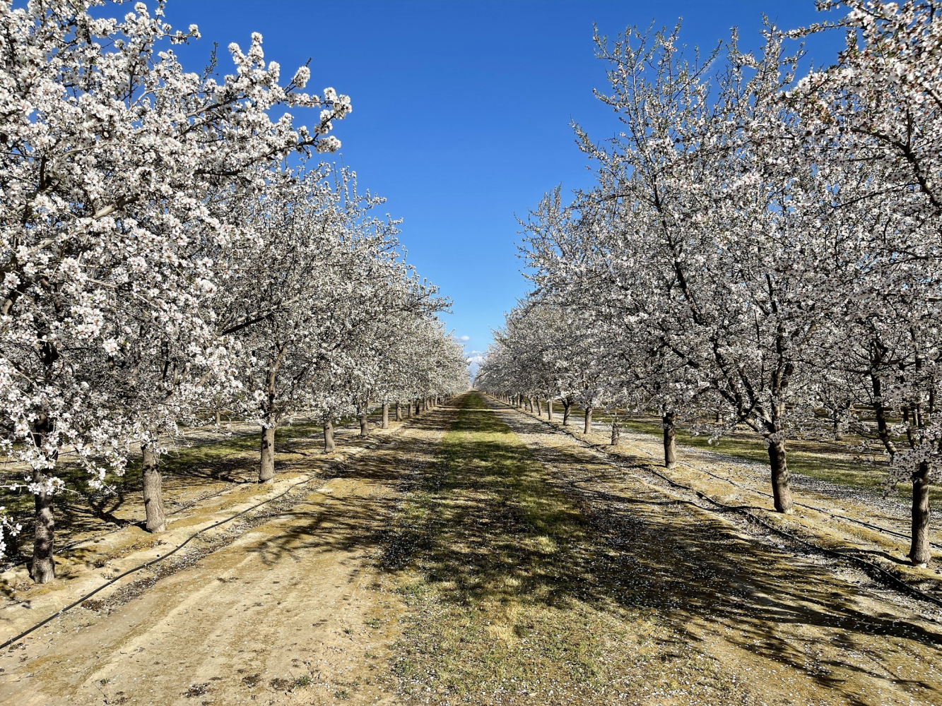 Fresno County