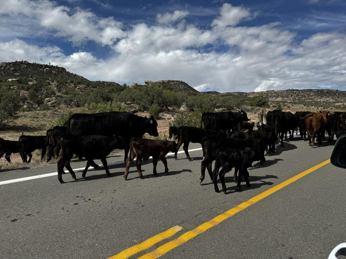 Montrose County