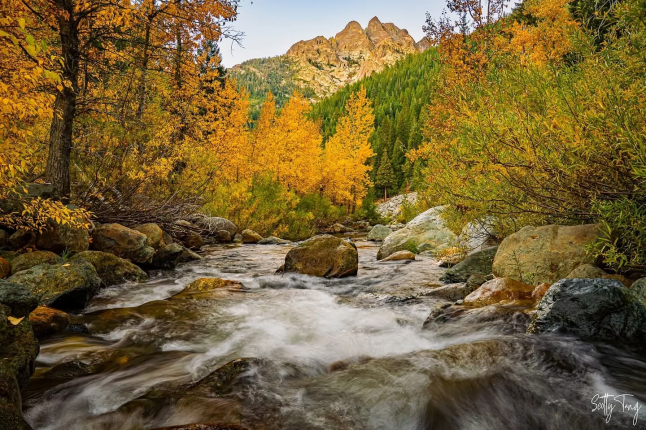 Sierra County Director of Public Works and Transportation