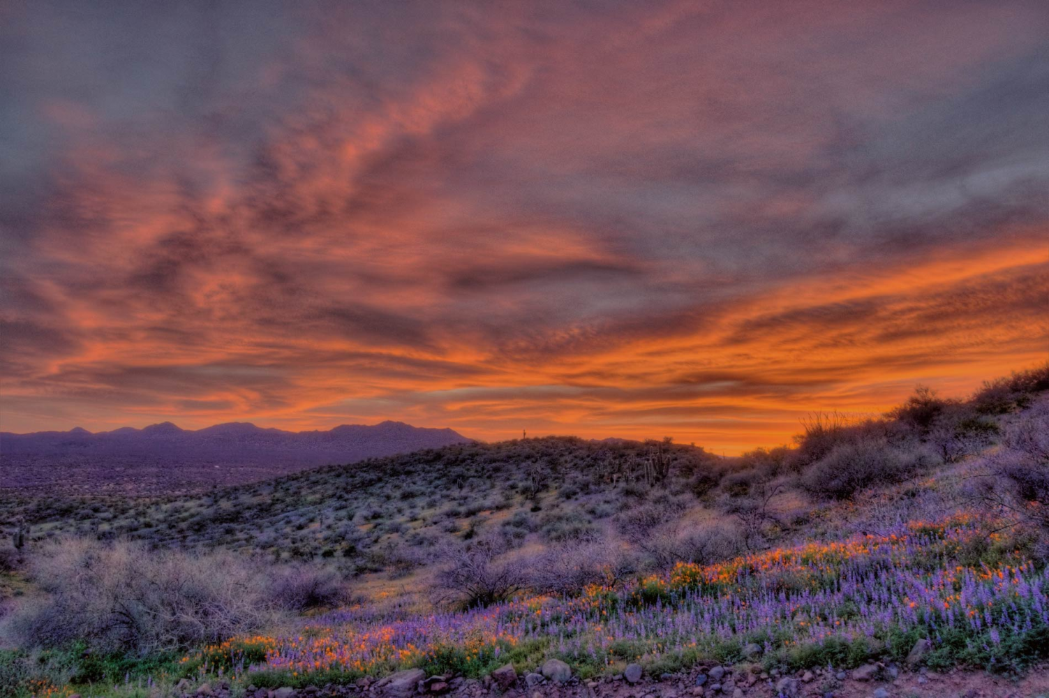 Gila County