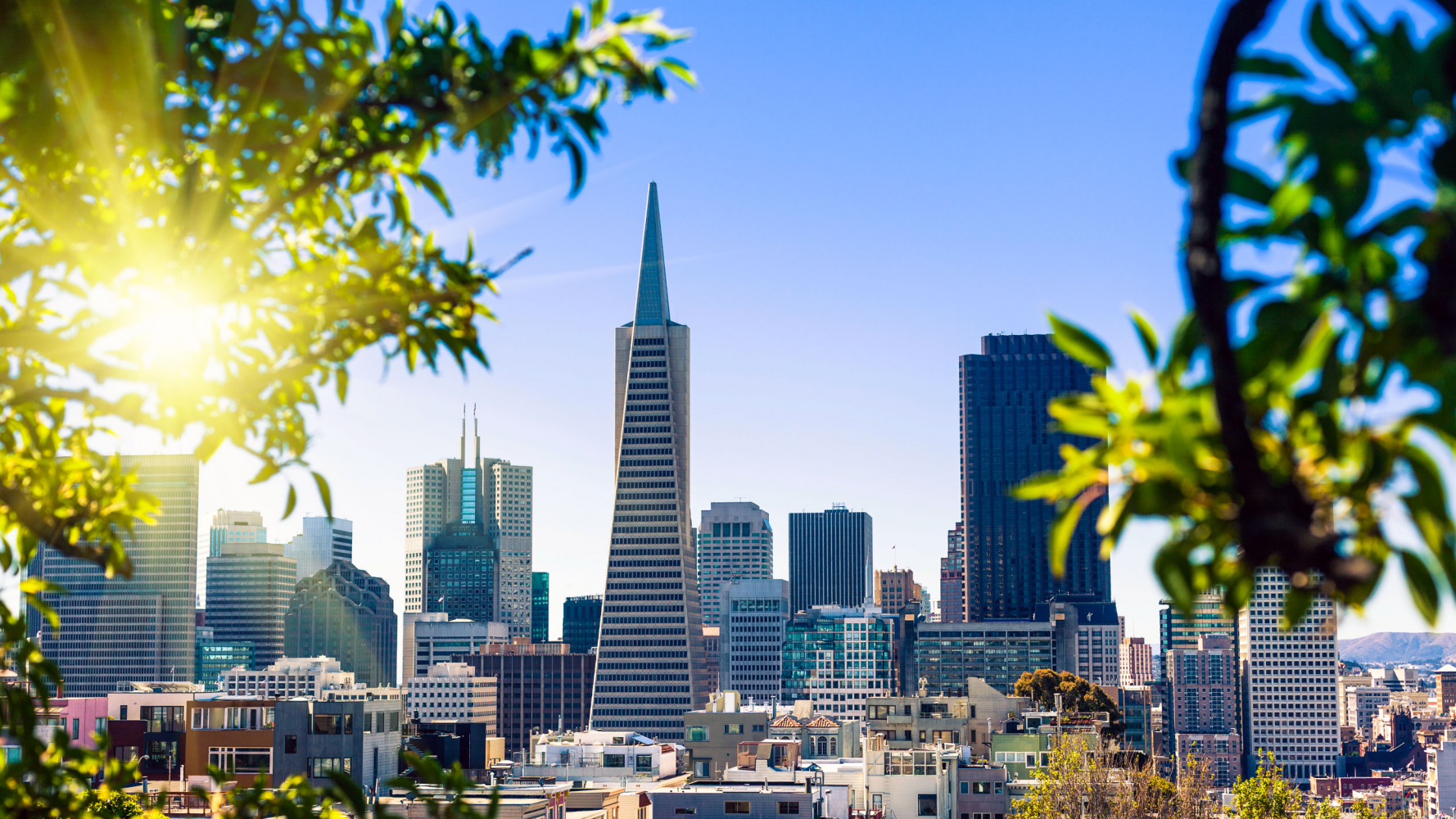 San Francisco Department of the Environment