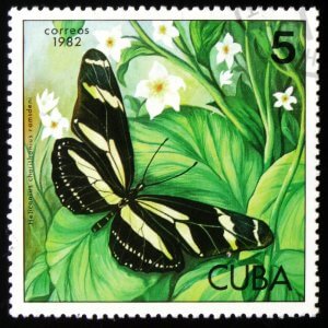 A Cuban postage stamp from 1982 features a butterfly with black and yellow wings resting on green foliage with small white flowers in the background. The stamp, radiating a sense of self-esteem, has "correos," "1982," "5," and "CUBA" printed on it.