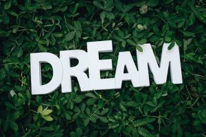 Large white letters spelling "DREAM" are placed on a dense bed of lush green leaves, creating a vivid contrast between the text and the natural background, much like the clarity one seeks in a job search amidst a sea of opportunities.