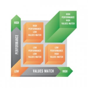 A 3D square grid displays axes labeled 'Performance' and 'Values Match,' ranging from low to high, ideal for analyzing teams. Quadrants are labeled: High Performance/Low Values Match, High Performance/High Values Match, Low Performance/Low Values Match, and Low Performance/High Values Match.