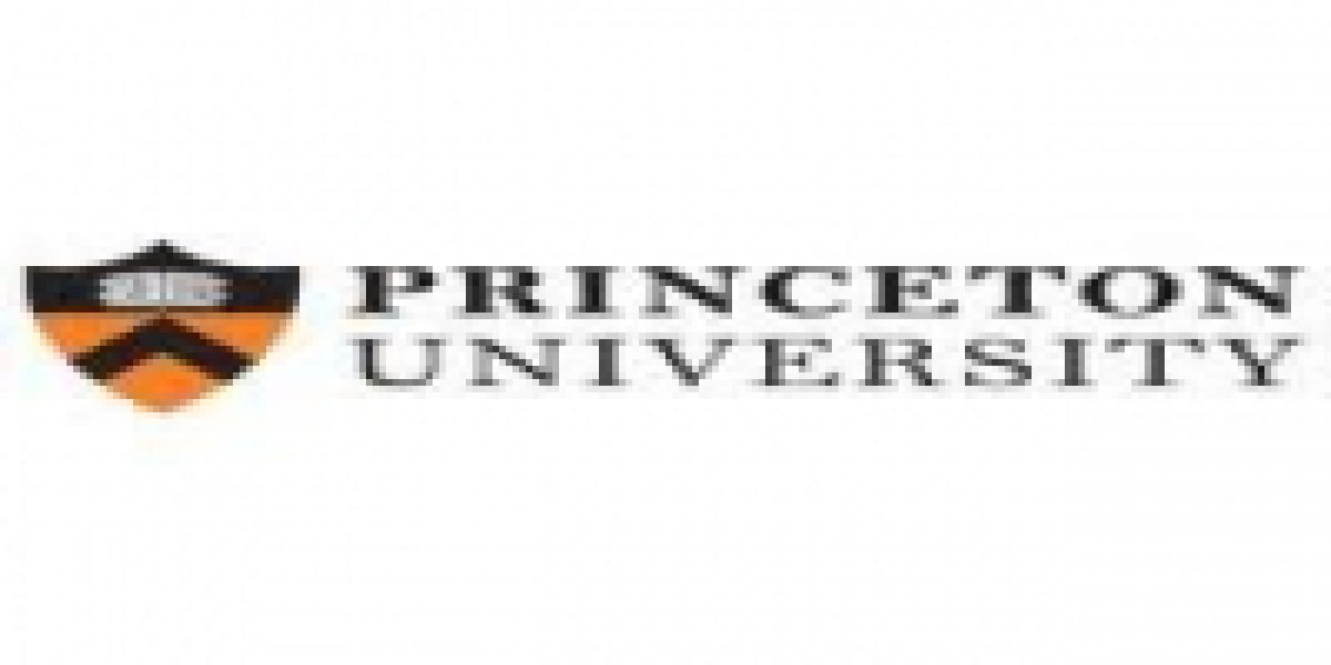 Princeton University - Community - Careers in Government